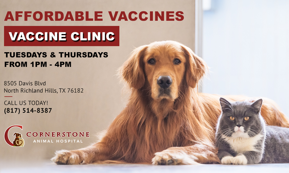Vaccinations | Cornerstone Animal Hospital