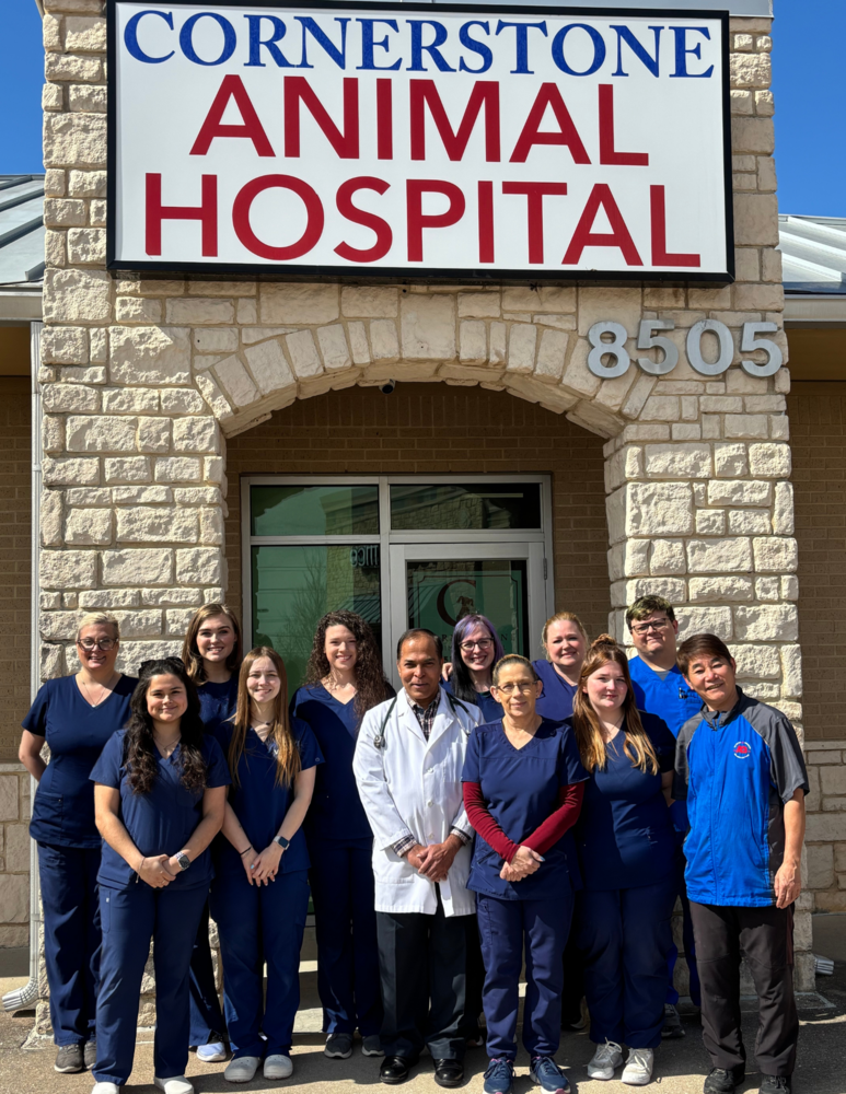 Veterinarian in North Richland Hills, TX